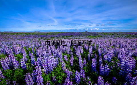 肉质酥烂, 肥而不腻