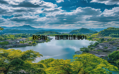 联合推广, 提高项目影响力