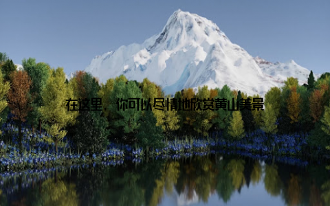 在这里, 你可以尽情地欣赏黄山美景