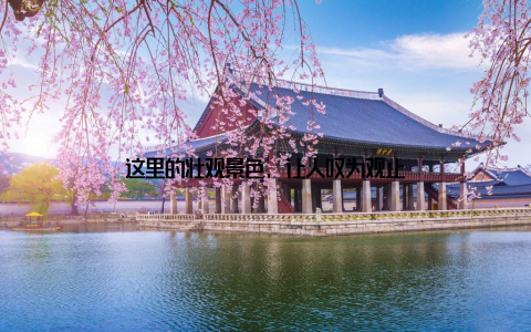 这里的壮观景色, 让人叹为观止