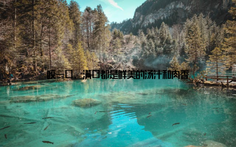 咬一口, 满口都是鲜美的汤汁和肉香