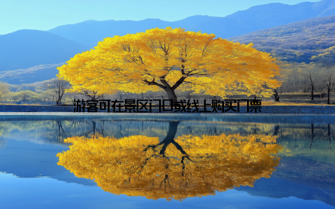 游客可在景区门口或线上购买门票