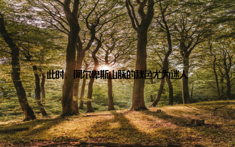 此时, 阿尔卑斯山脉的秋色尤为迷人