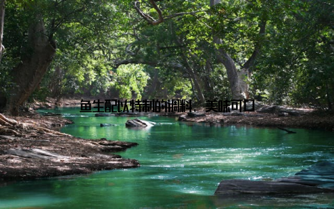 鱼生配以特制的调料, 美味可口