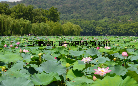 二合肥旅游, 是一次穿越时空的旅行