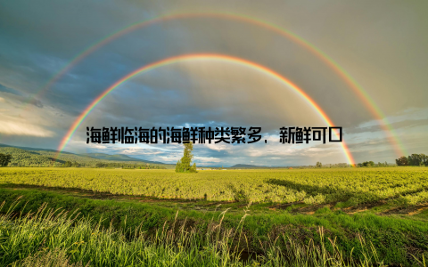 海鲜临海的海鲜种类繁多, 新鲜可口