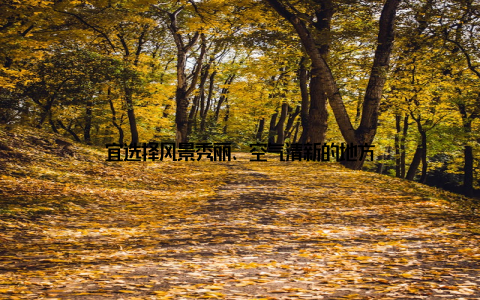 宜选择风景秀丽、空气清新的地方