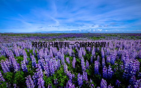 祝你在马德里有一个愉快的旅程!