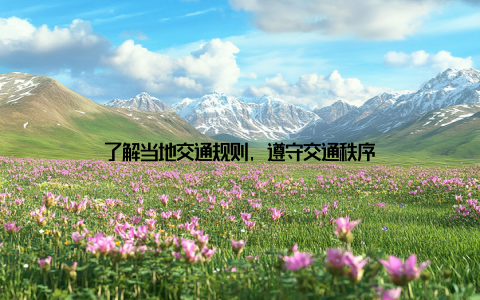 了解当地交通规则, 遵守交通秩序