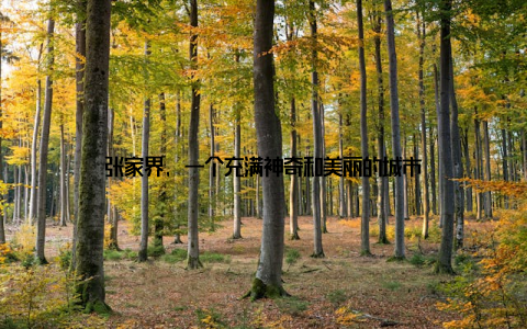 张家界, 一个充满神奇和美丽的城市